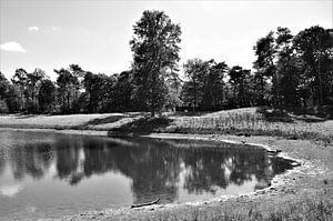 Zwart Wit Landschap