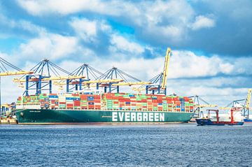 Container ship Ever Golden of Evergreen Lines at the container t by Sjoerd van der Wal