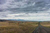 Lonely Road
