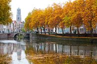 Herbst in Nieuwekade von Ramon Mosterd Miniaturansicht