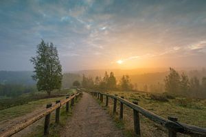 Lever de soleil à Kwintelooijen