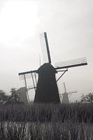 Molens in Kinderdijk