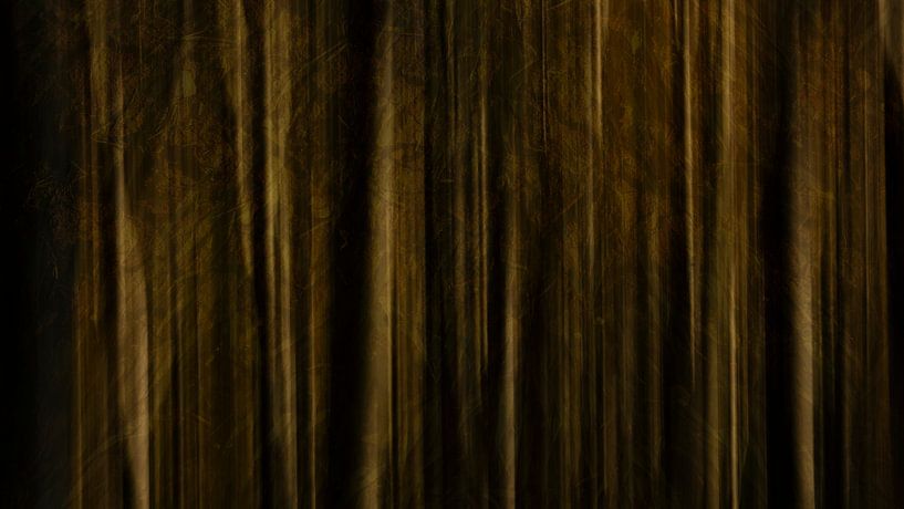 Forest light by Suzanne Bruinsma