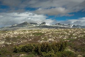 Rondane-Nationalpark 2