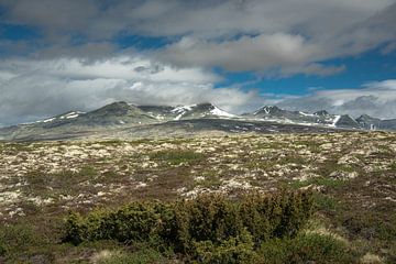 Rondane national park 2 van Marc Hollenberg