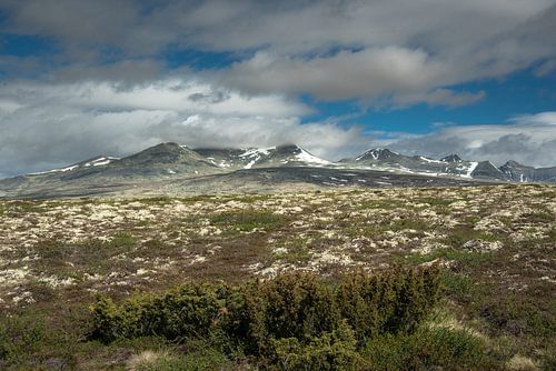 Parc national de Rondane 2 sur Marc Hollenberg