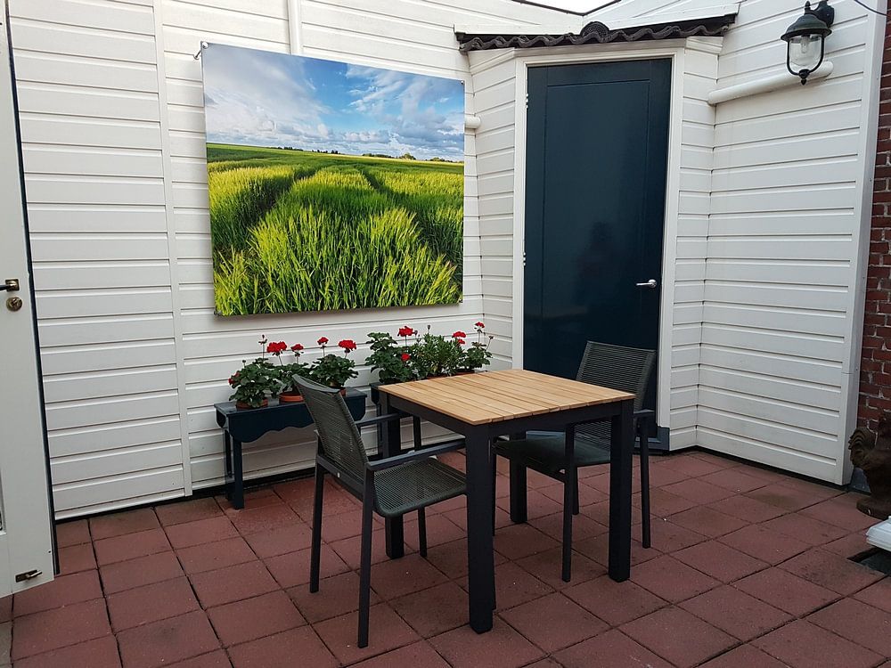 Getreidefelder in der Sonne - Groningen, Niederlande  von Bas Meelker 