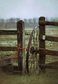 Wagenrad auf der Wiese