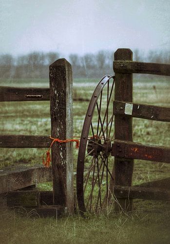 Karrewiel in weiland