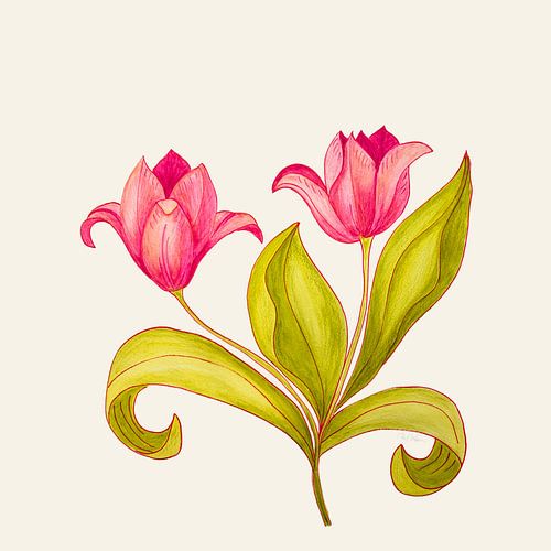 Poetisches Tulpenornament – Warmes Elfenbein