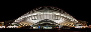 Panorama by Night van de entree van Station in Luik van Photography by Karim