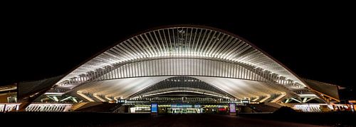 Panorama by Night van de entree van Station in Luik