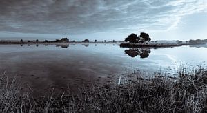 Strabrechtse Heide 148