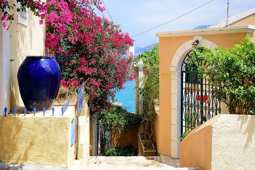 Apollonia van Frank's Awesome Travels