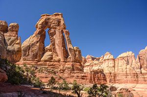 Die 150 Meter hohe DruidenArch in Canyonlands Utah