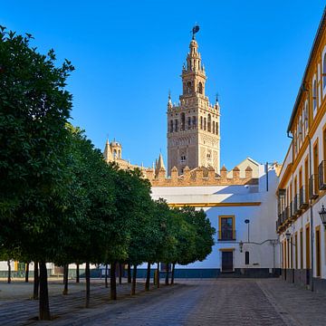 Kathedraal van Sevilla van Peter Brands