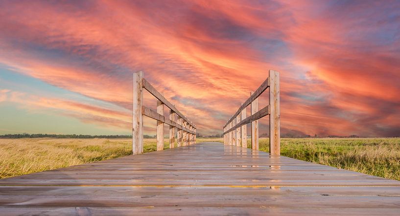 Bridge to the beach at the North Sea by Animaflora PicsStock