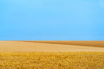 Paysage Culturel # 7 sur Floris Kok