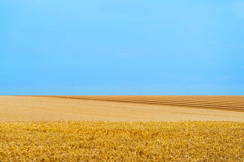 Paysage Culturel # 7