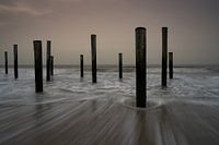 Pole village Petten