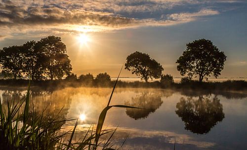Amstel in the morning light