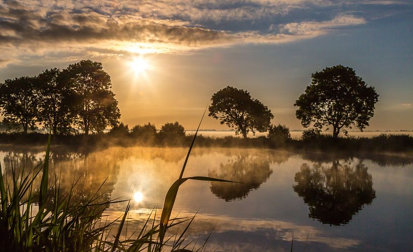 Amstel in the morning light by Peter Leenen