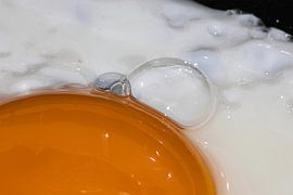 Egg culinary perfection by Melany Lampe