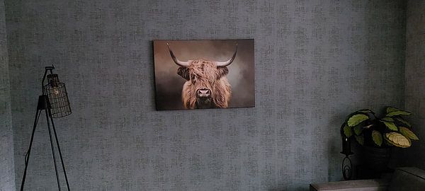 Customer photo: Scottish Highland Cow by Diana van Tankeren, on canvas