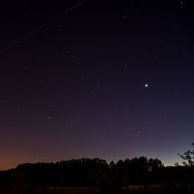 Natur: Sterne in der Nacht von Jarno De Smedt