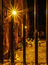 Cambridge (England) Peterhouse bei Nacht von Stefania van Lieshout Miniaturansicht