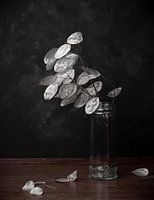 Honesty, still life in black and white