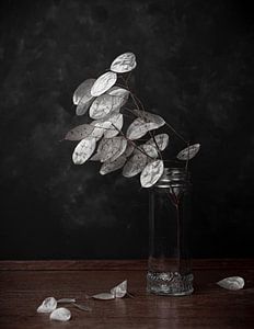 Honesty, still life in black and white