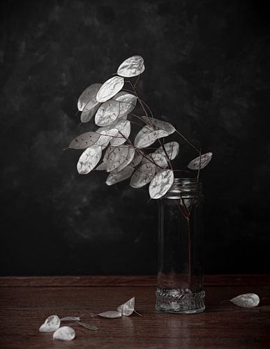 Honesty, still life in black and white by Joske Kempink