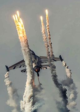 Falcon Fury by Silvina Khan