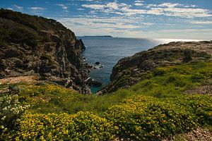 Kliffen op het Ile de Porquerolles in Frankrijk van Tanja Voigt