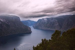 Aurlandsfjord van Thomas Heitz