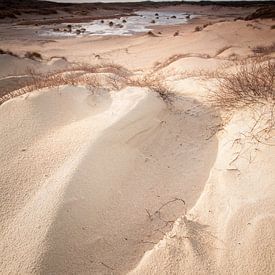 Wind blown sand and wet dune valley von David Hanlon