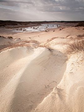 Wind blown sand and wet dune valley by David Hanlon