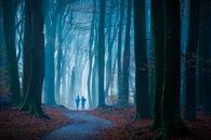 Path to the Unknown by Jeroen Lagerwerf thumbnail