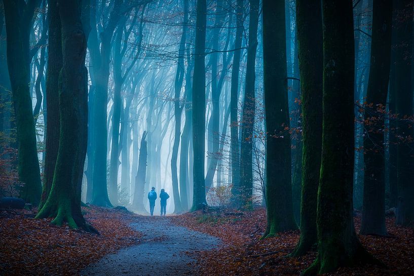 Path to the Unknown by Jeroen Lagerwerf
