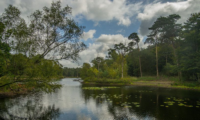 Het Witven vanaf zuidzijde eind van de zomer von Douwe Bergsma