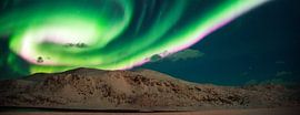 Aurora panorama van Francisca Snel