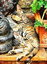 Kitten Snuggles by Dorothy Berry-Lound thumbnail