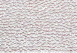 GARDEZ LE CALME sur Ans de Bie