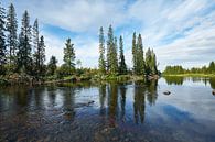 Fluss in Schweden Nr. 2 von Geertjan Plooijer Miniaturansicht