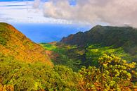 View from mount Waialeale by Henk Meijer Photography thumbnail