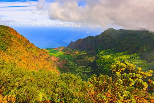 Uitzicht vanaf mount Waialeale