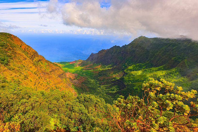View from mount Waialeale by Henk Meijer Photography