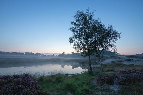Sonnenaufgang Waldsee Heidestein Zeist Driebergen