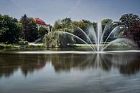 Efemere harmonie | Bad Salzuflen
